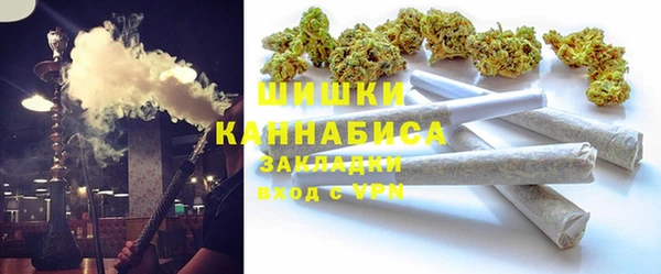 экстази Ельня