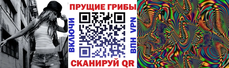 Галлюциногенные грибы GOLDEN TEACHER  Купить  Ахтубинск 